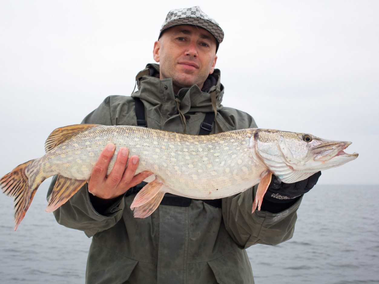 Kapitaler Hechtfang am See in malerischer Kulisse Angler hält kapitalen Hecht vor sich, im Hintergrund ein ruhiger See bei leicht bewölktem Himme